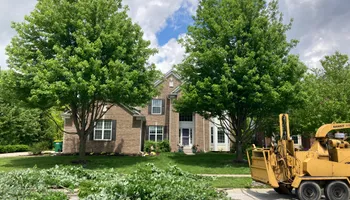 Tree Removal for Village Tree Service  in Whitestown, IN