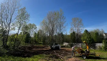 Land Clearing for Michael Way Acres in Woodlawn, TN