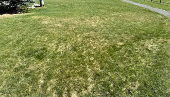 Mowing for Lowry’s Lawn Care LLC in East Helena, MT
