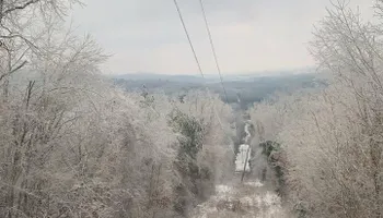 Land Clearing for Mud Creek Vegetation Management in Russellville, AL