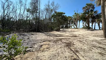 Land Clearing for McLeran in Naples, FL