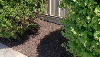 Mowing for Reliable Property Maintenance in Munster, IN