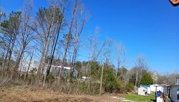 Tree Removal for Puckett's Tree Service in Decatur County, TN