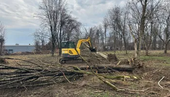 Tree Removal for KJ’s Tree Service & More LLC in Fraziers Bottom, WV