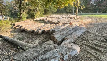 Tree Removal for Kadin’s Tree Service in North Vernon, IN