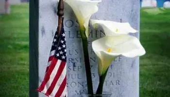 Residential Snow Plowing for B&L Management LLC in East Windsor, CT