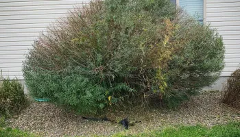 Mowing for Lowry’s Lawn Care LLC in East Helena, MT