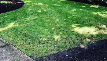 Mowing for Rs lawn Care llc in Beavertown, OR