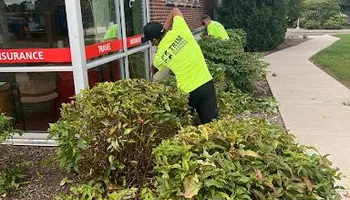 Fall Clean Up for Trim Seasonal Services in Franklin, WI