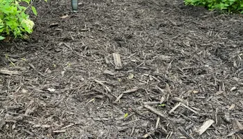 Softscaping Design & Installation for Mulch & Dig in West Bloomfield Township, MI