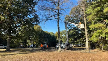 Tree Removal for Ross Family Tree Service LLC  in Hohenwald, TN