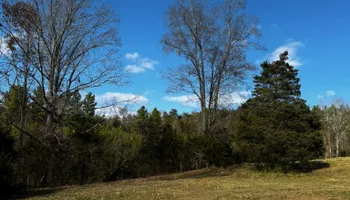Land Clearing for Hunt’s Hauling & Landworks LLC in Danville, VA
