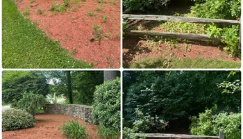 Fall and Spring Clean Up for Mow N Maintain Property Maintenance in Williston, VT