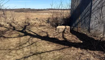Tree Removal for Fransen's Tree Service  in Freeport, IL
