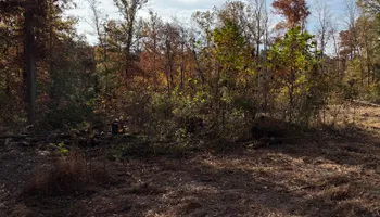 Driveway Design & Build for Lewis Oaks Landscaping in King and Queen County, VA