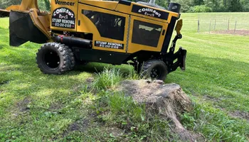 Stump Removal for Conrad's Stump Removal in Columbus, IN
