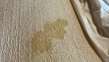 Residential Cleaning for A+ Cleaning and Services LLC in Deep Creek Lake, MD 