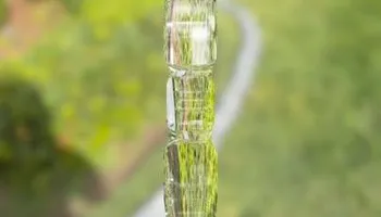 Landscape Design & Installation for Prestige Landscape Solutions in Vero Beach, FL