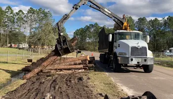 Tree Removal for Top Notch Tree Experts in Orange Park, FL