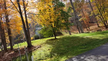 Tree Removal for Platas Tree Service  in Clyde, NC