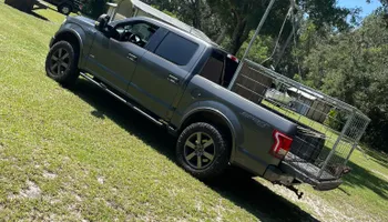 Hogs for North Brevard Wildlife Solutions in Mims, FL
