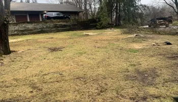 Tree Removal for Ramirez Tree Care in Pontiac, Michigan