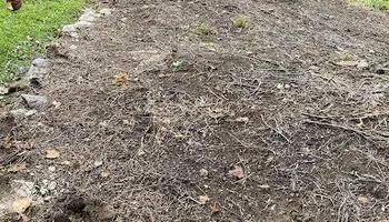 Lawn Maintenance for Inestroza Landscaping in Westminster, MD