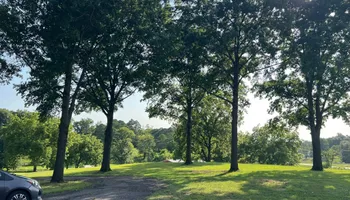 Tree Removal for Baker Professional Services LLC in Shelbina, MO