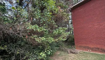 Land Clearing for Mud Creek Vegetation Management in Russellville, AL