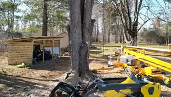 Tree Removal for Huntsville Tree Service in Huntsville, AL
