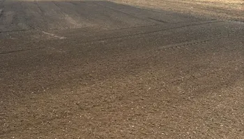 Land Clearing for Murray Excavation & Site services in Sunbury, OH