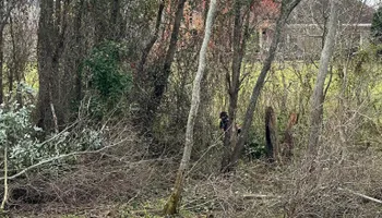 Land Clearing for Dirty South Land Management  in Robertsdale, AL