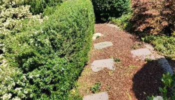 Lot Clearing for Gregg Yard Maintenance in Paradise, CA