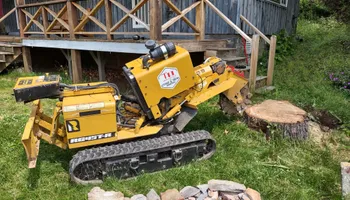 Residential Tree Services for TH Property Service, LLC in Manlius, NY