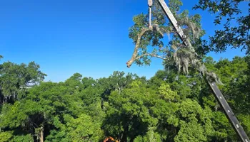 Tree Removal for Near Me Tree Service, Inc. in DeLand, FL