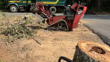 Tree Removal for Native Roots Tree Service in Falmouth, MA