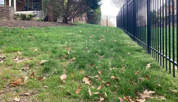 Mowing for Green Horizon Lawncare in North Chesterfield, VA
