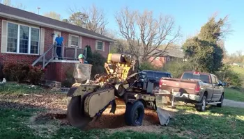 Tree Removal for Revival Tree Management in Chattanooga, TN
