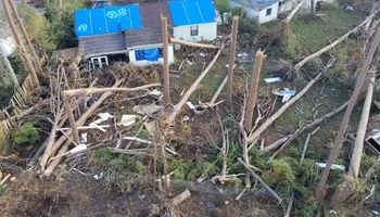 Tree Removal for Spruce Creek Tree Service in Port Orange, FL