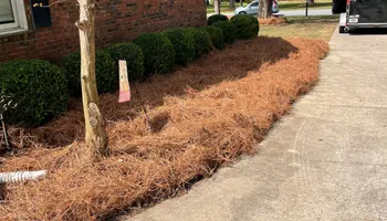 Painting and Drywall for Camalett Services in Perry, GA