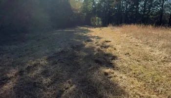 Land Clearing And Site Preparation for True Grit Hauling in Athens, TN