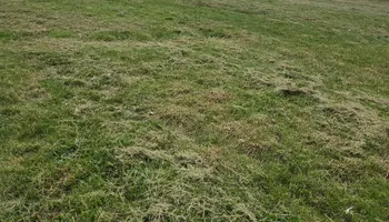 Lawn Maintenance for Boyd Bros in Richmond, VA