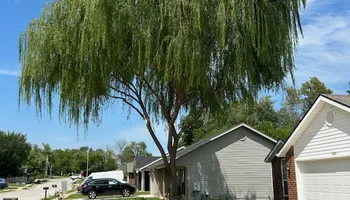 Tree Removal for Dale's Tree Service in Springdale, AR
