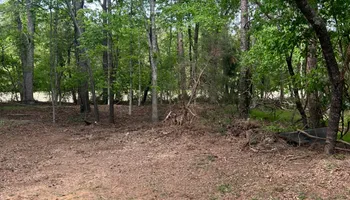 Tree Removal for Brooks Tree Service in Casar, NC