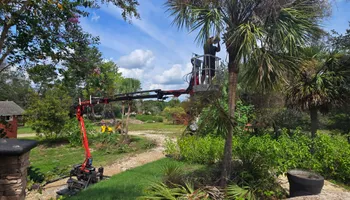 Tree Removal for Near Me Tree Service, Inc. in DeLand, FL