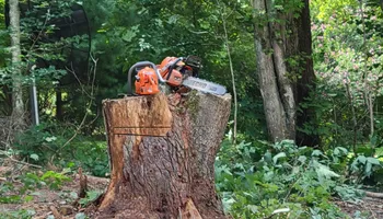 Tree Removal for Fowler's Tree Service LLC. in New Albany, PA