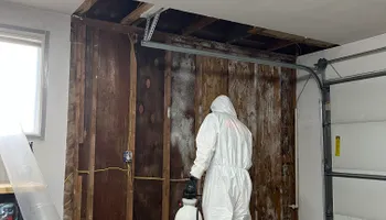 Water Mitigation for No Fear Restoration in Port Angeles, WA