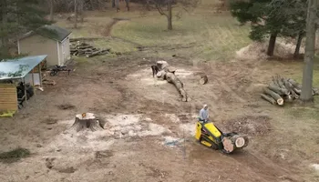 Tree Removal for Huntsville Tree Service in Huntsville, AL