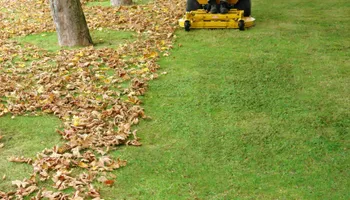 Landscape Design & Installation for Prestige Landscape Solutions in Vero Beach, FL