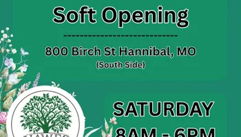 Custom Waterfall Installations for Hawes Design & Build in Hannibal, MO